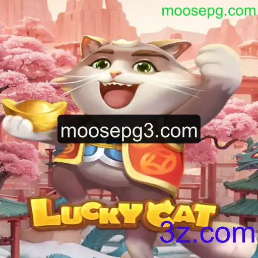Descubra o Mundo Fascinante de LuckyCat